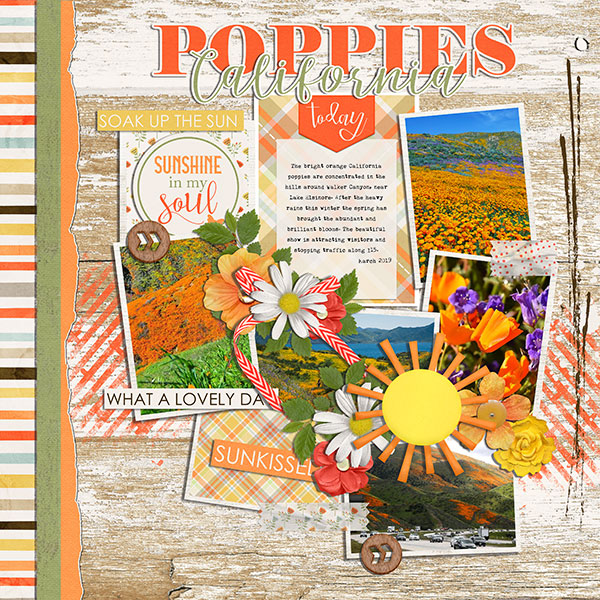 poppies