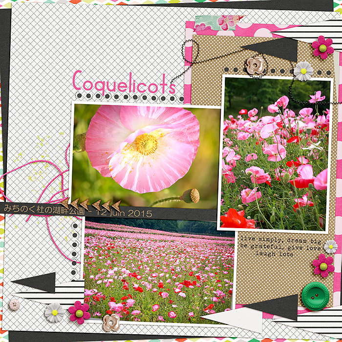 Poppies