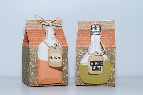 Potions Cartons