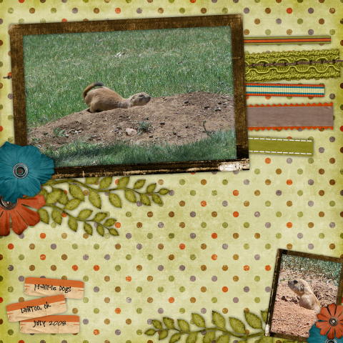 Prairie Dogs
