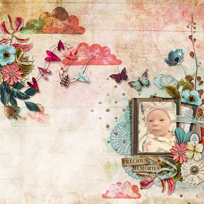 Precious Memories