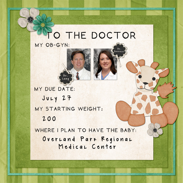 Pregnancy Album
