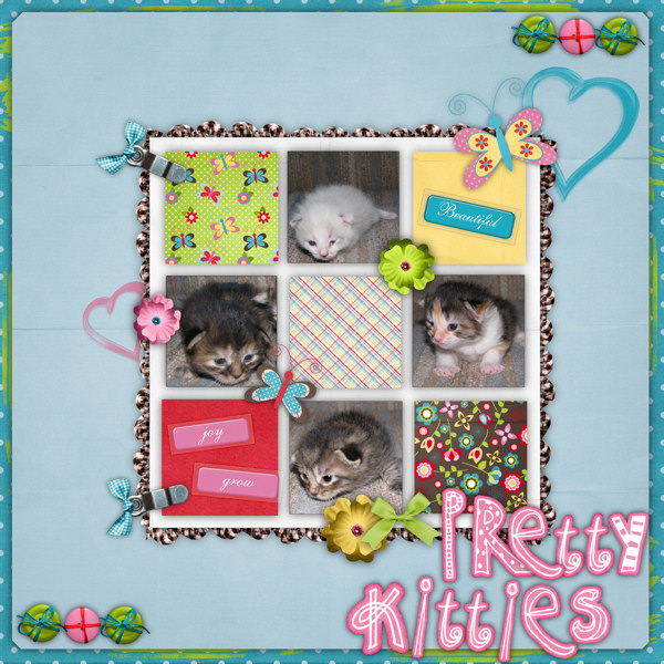 Pretty Kitties