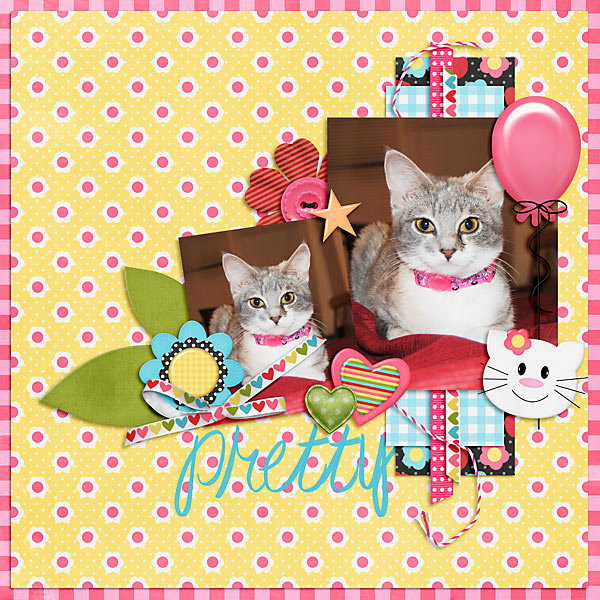 Pretty Kitty