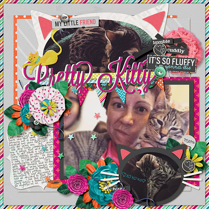 pretty kitty