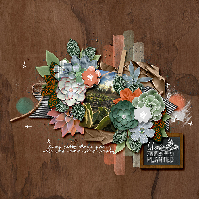 Pretty Things