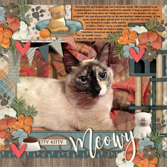 Pretty_Kitty2