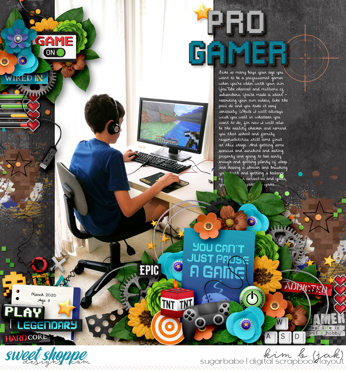 Pro Gamer