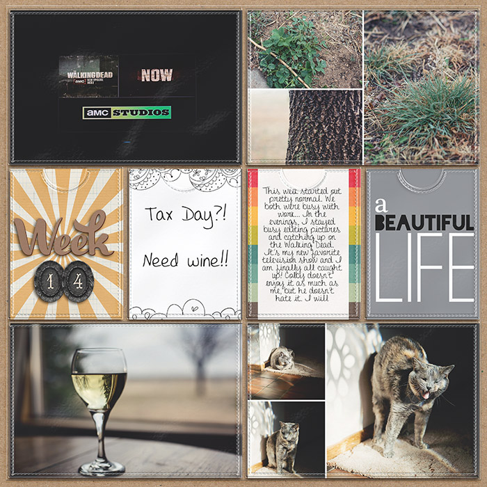Project 2013- Week 14 (left)