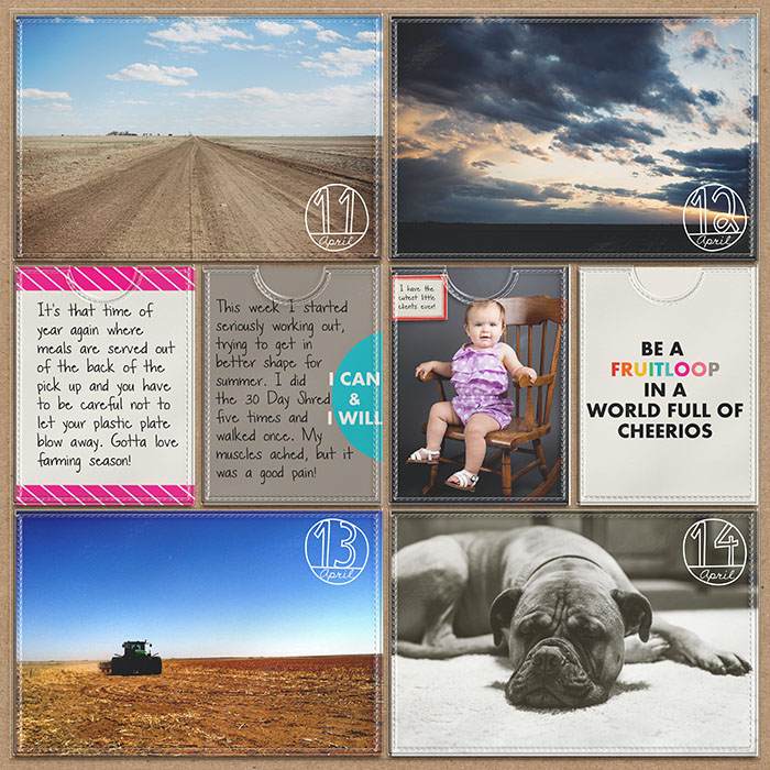 Project 2013- Week 15- right