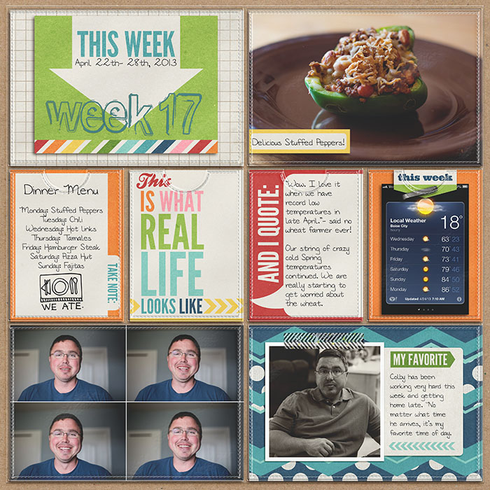 Project 2013- Week 17- left
