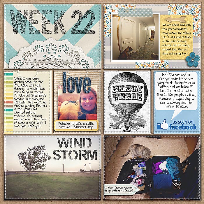 Project 2013- Week 22 (left)