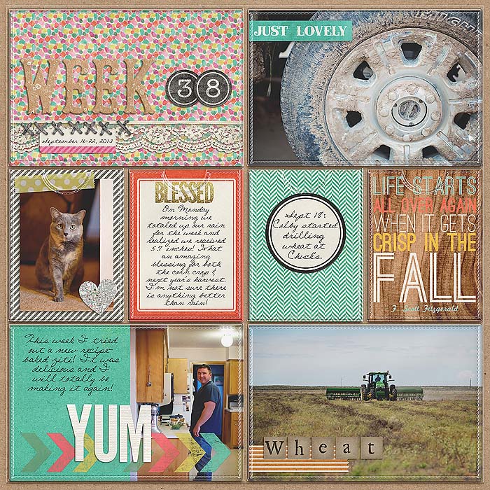 Project 2013- Week 38 (left)