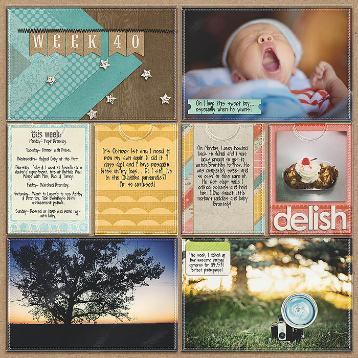 Project 2013- Week 40 (left)