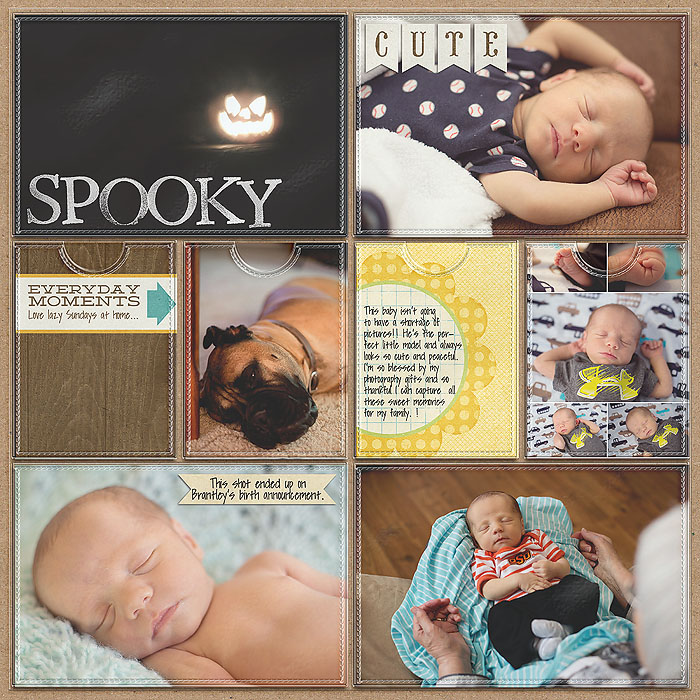 Project 2013- Week 40 (right)