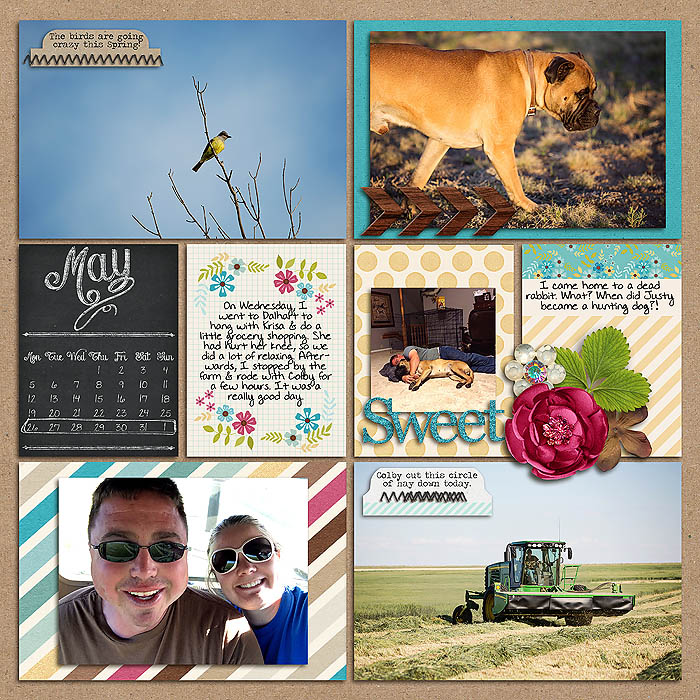Project 2014- Week 22 (left)