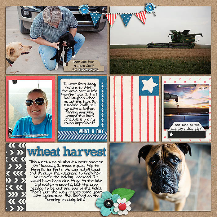 Project 2014- Week 27 (right)