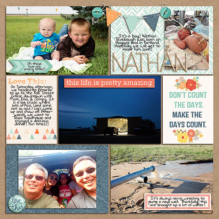 Project 2014- Week 31 (right)