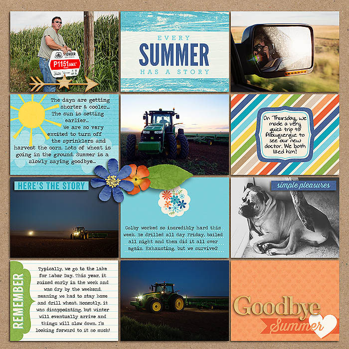 Project 2014: Week 35 (right)