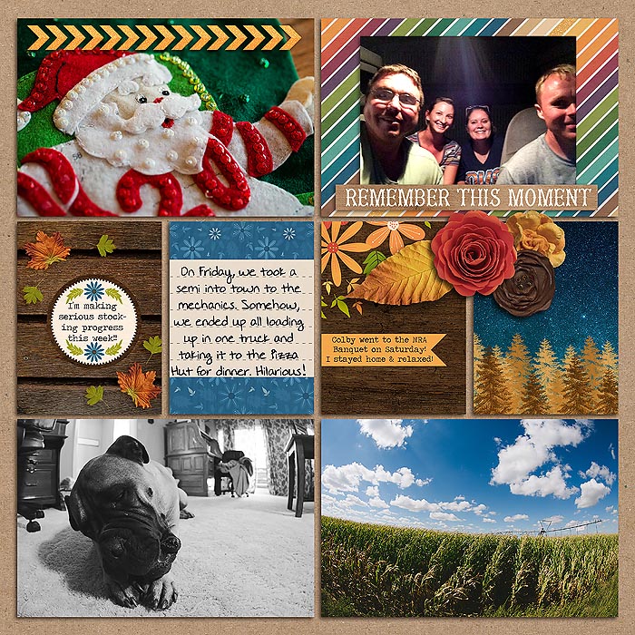 Project 2014- Week 39 (right)