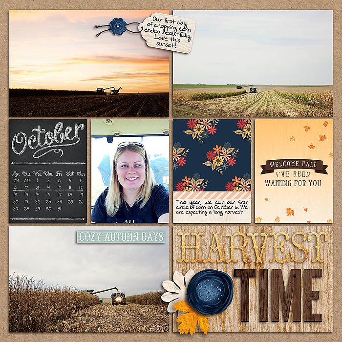 Project 2014- Week 41 (left)