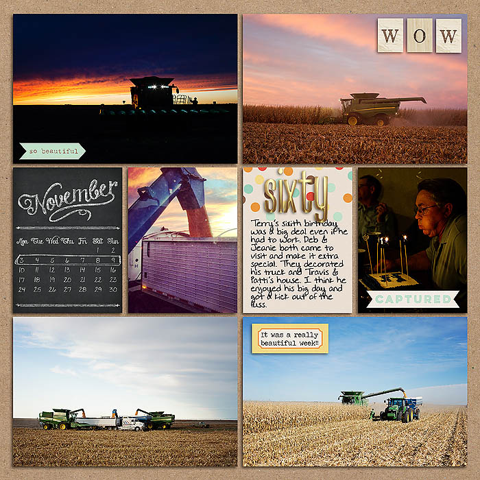 Project 2014- Week 45 (left)