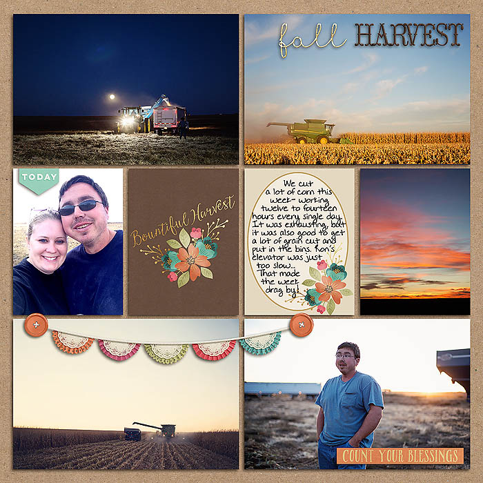 Project 2014- Week 45 (right)