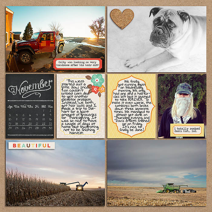 Project 2014-Week 47 (left)