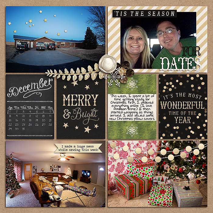Project 2014- Week 49 (left)