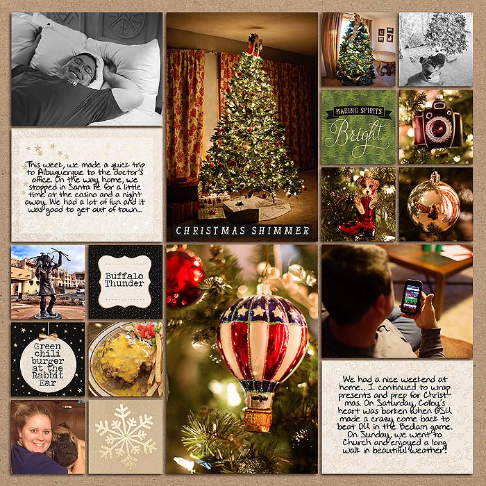 Project 2014- Week 49 (right)