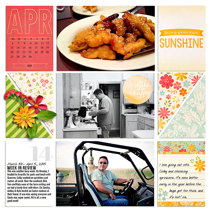 Project 2015- Week 14 (left)