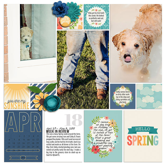 Project 2015- Week 18 (left)