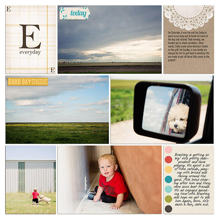 Project 2015- Week 22 (right)