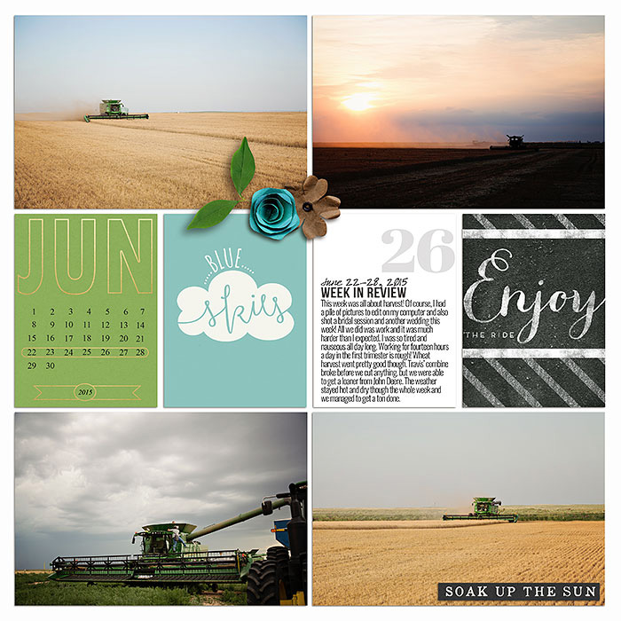 Project 2015: Week 26 (left)
