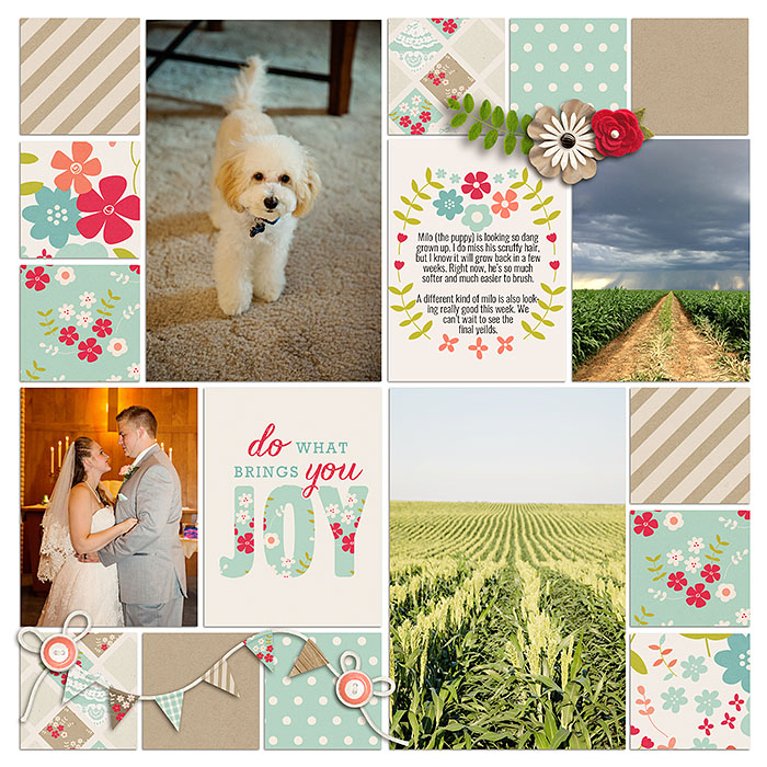 Project 2015- Week 30 (right)