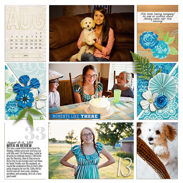 Project 2015: Week 33 (left)