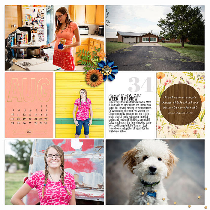 Project 2015: Week 34 (left)