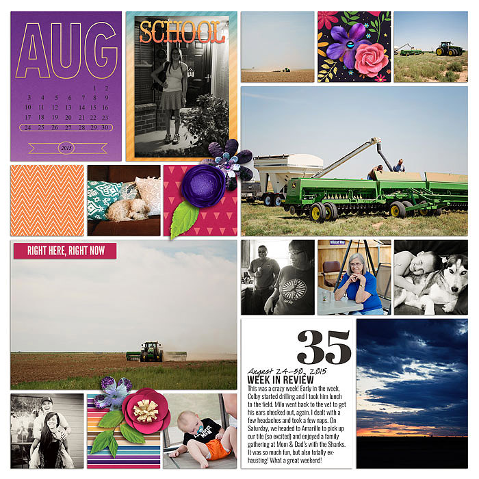 Project 2015: Week 35 (left)