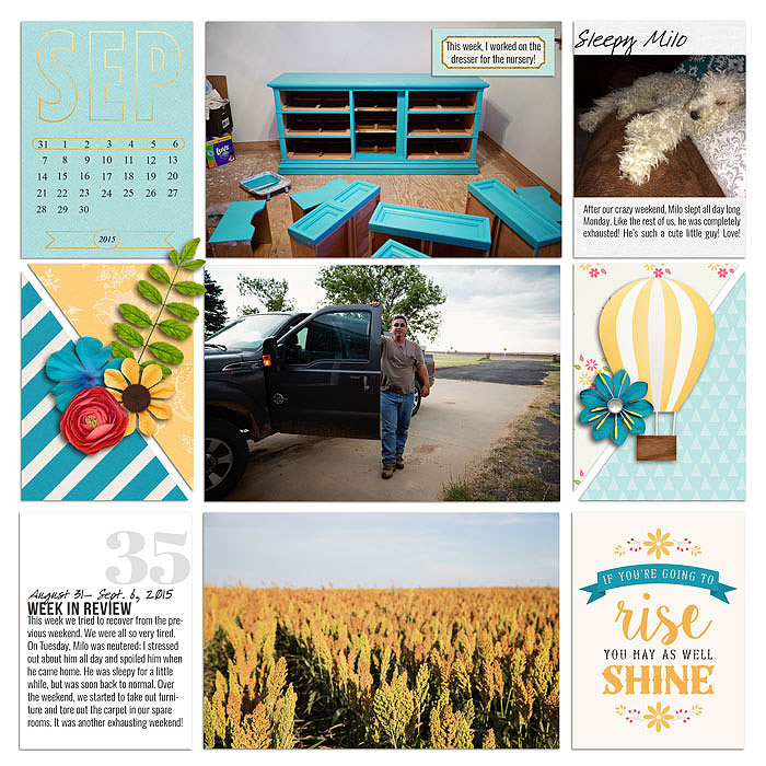 Project 2015: Week 36 (left)