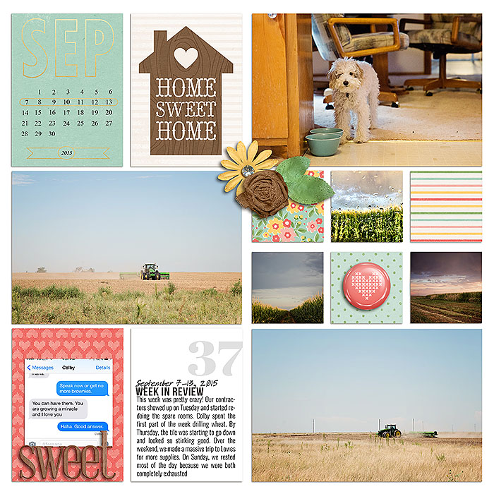 Project 2015: Week 37 (left)