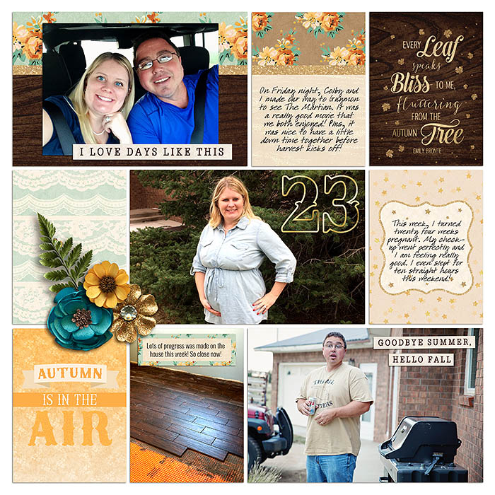 Project 2015: Week 40