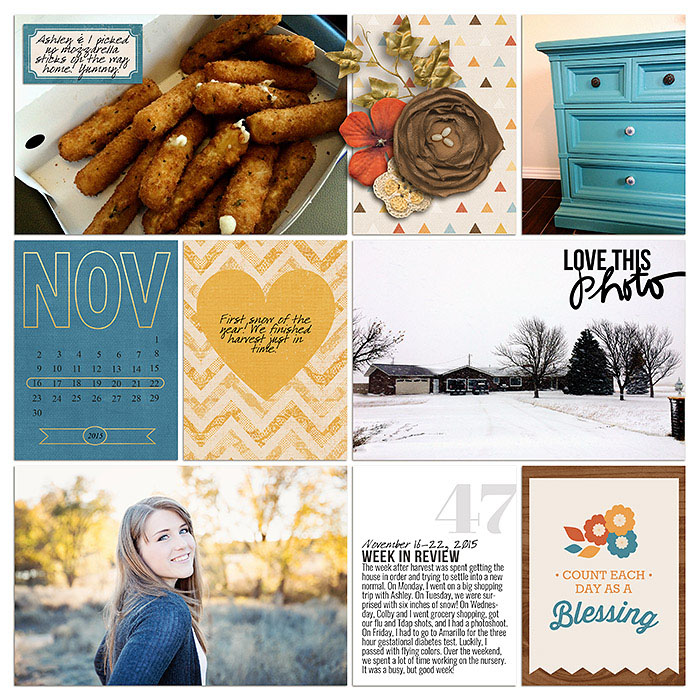 Project 2015- Week 47 (left)
