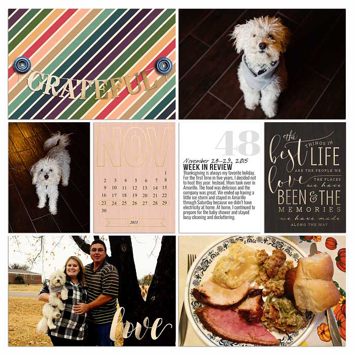 Project 2015: Week 48 (left)
