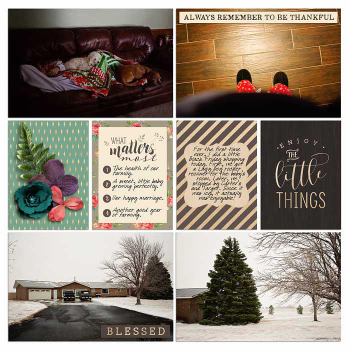 Project 2015: Week 48 (right)