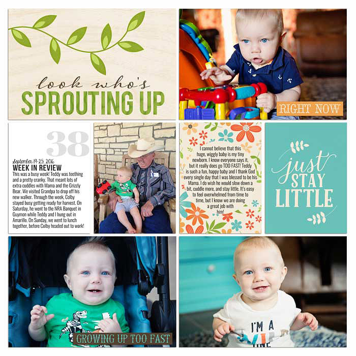 Project 2016- Week 38 (left)