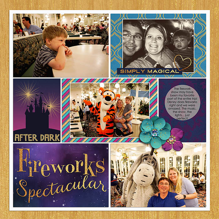 Project 2019- Firework Show (left)