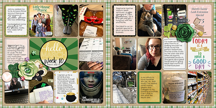 Project 2019 week 10