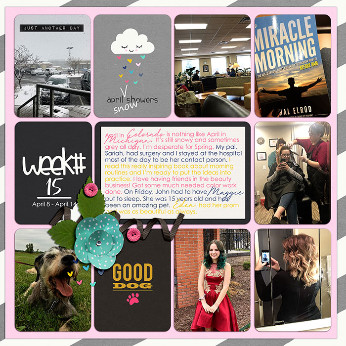 Project 2019 week 15
