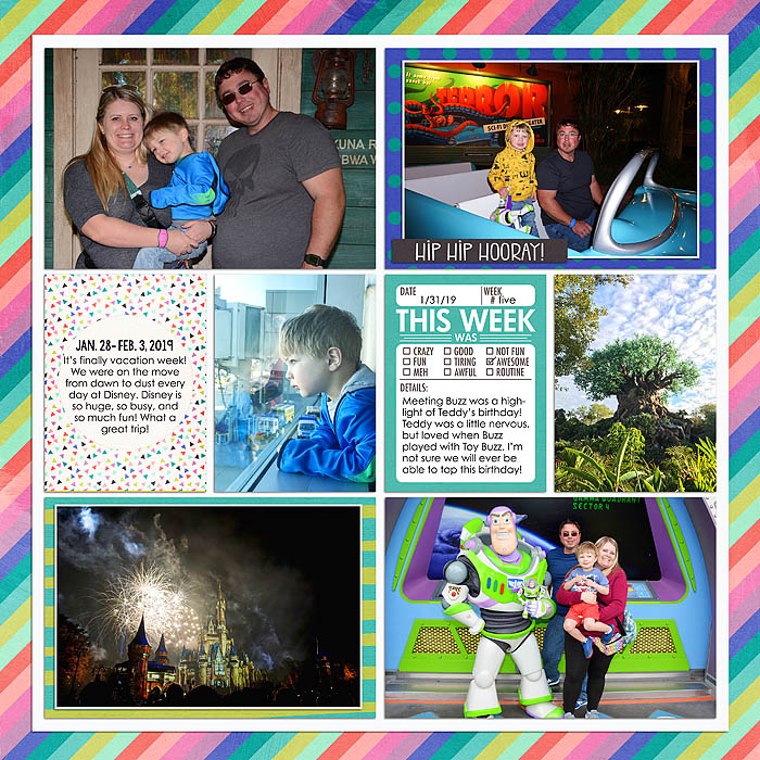 Project 2019- Week Five (left)