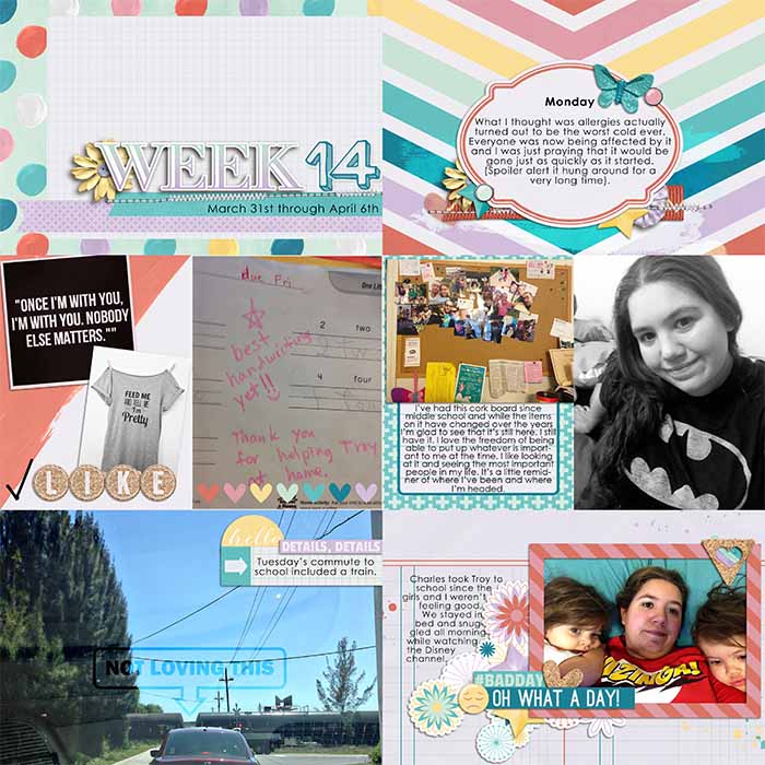 Project Life 14 Left
